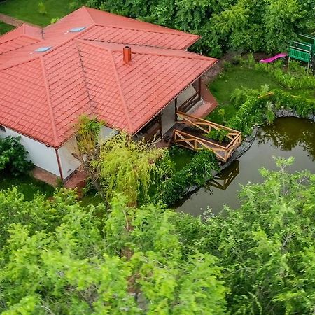 Casa Arcadia 1 Piscina,Jacuzzi, Sauna Buzau Bagian luar foto