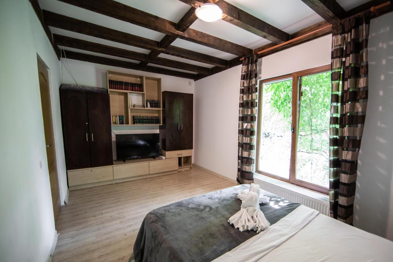 Casa Arcadia 1 Piscina,Jacuzzi, Sauna Buzau Bagian luar foto