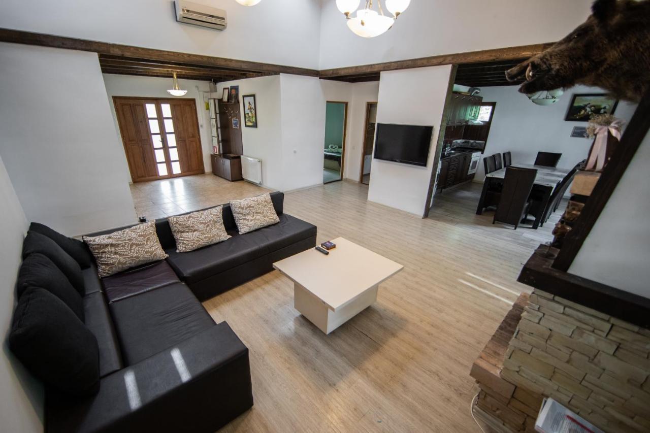 Casa Arcadia 1 Piscina,Jacuzzi, Sauna Buzau Bagian luar foto