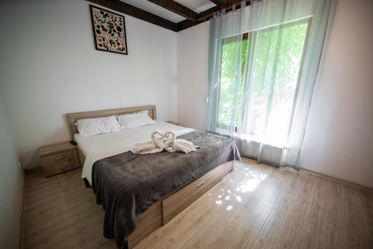 Casa Arcadia 1 Piscina,Jacuzzi, Sauna Buzau Bagian luar foto