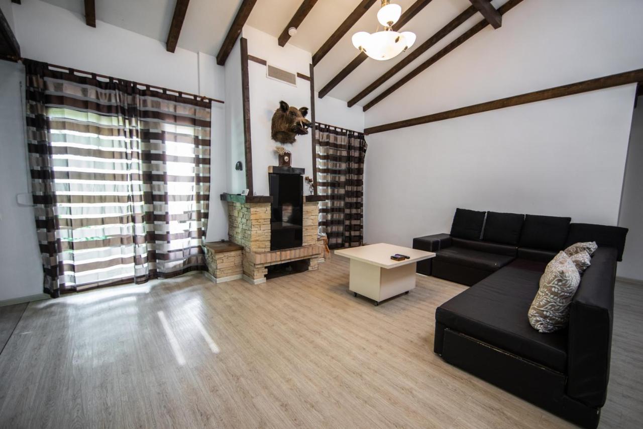 Casa Arcadia 1 Piscina,Jacuzzi, Sauna Buzau Bagian luar foto