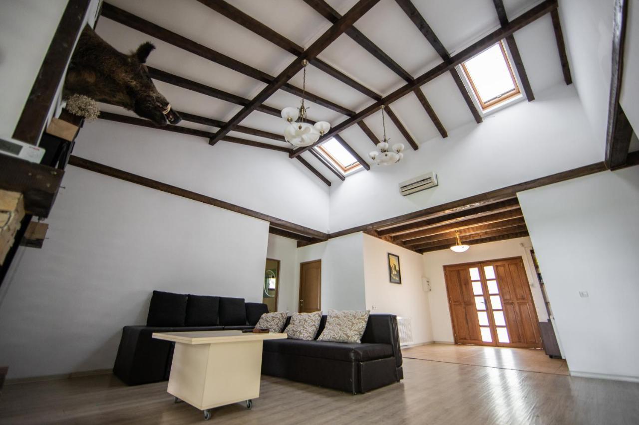 Casa Arcadia 1 Piscina,Jacuzzi, Sauna Buzau Bagian luar foto