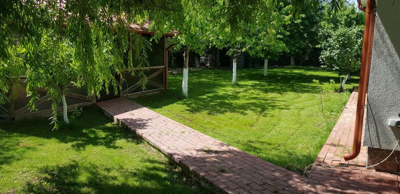 Casa Arcadia 1 Piscina,Jacuzzi, Sauna Buzau Bagian luar foto