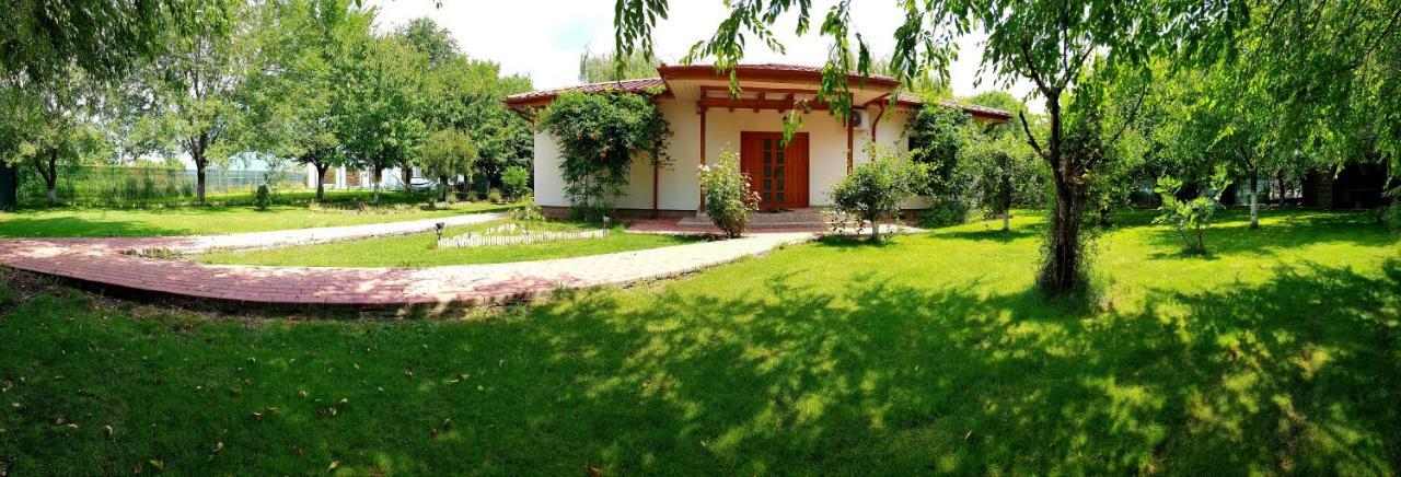 Casa Arcadia 1 Piscina,Jacuzzi, Sauna Buzau Bagian luar foto